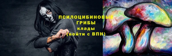 прущие крисы Верея