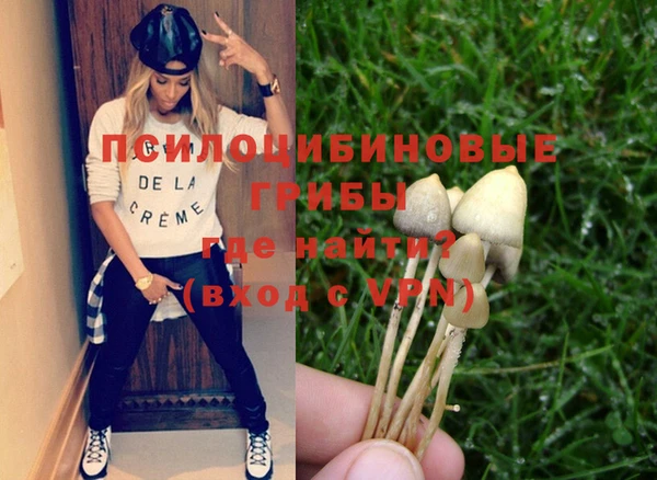 соль курить ск Верхний Тагил