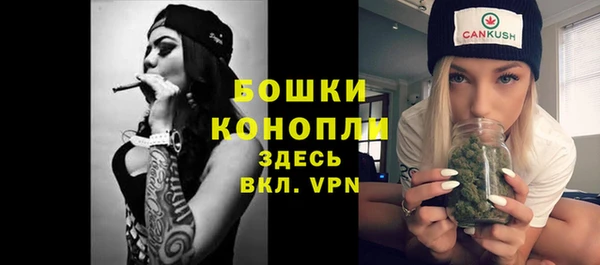 бошки Дмитровск
