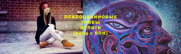 герыч Дмитров