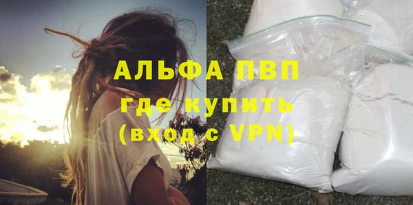 амф Ельня