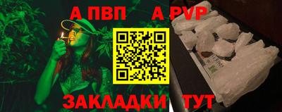 шишки Гай