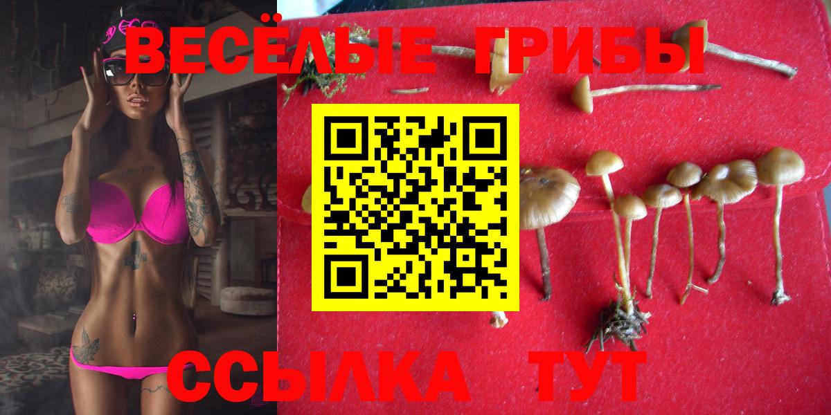 Псилоцибиновые грибы мухоморы Ипатово